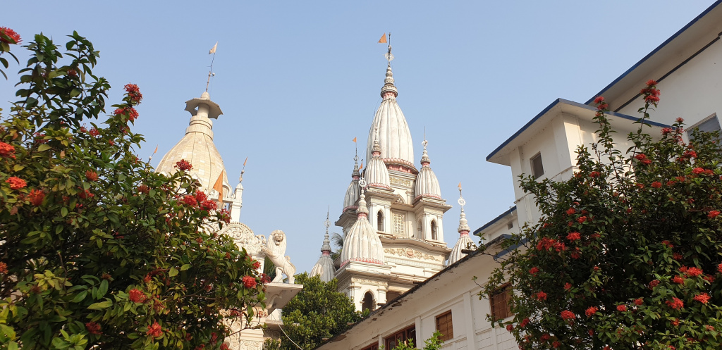 20190317_7_купол самадхи храма главного Шри Шри Гуру Гауранги Гандхарва Говинда Сундарджиу.jpg